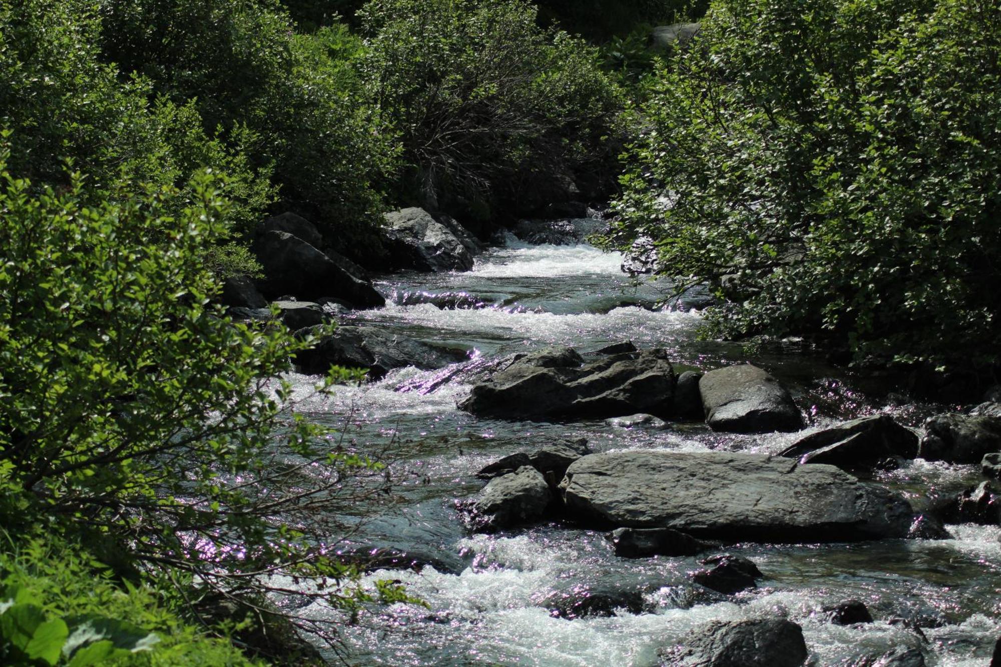 Chalet Le 1000 Thabor Valmeinier Dış mekan fotoğraf